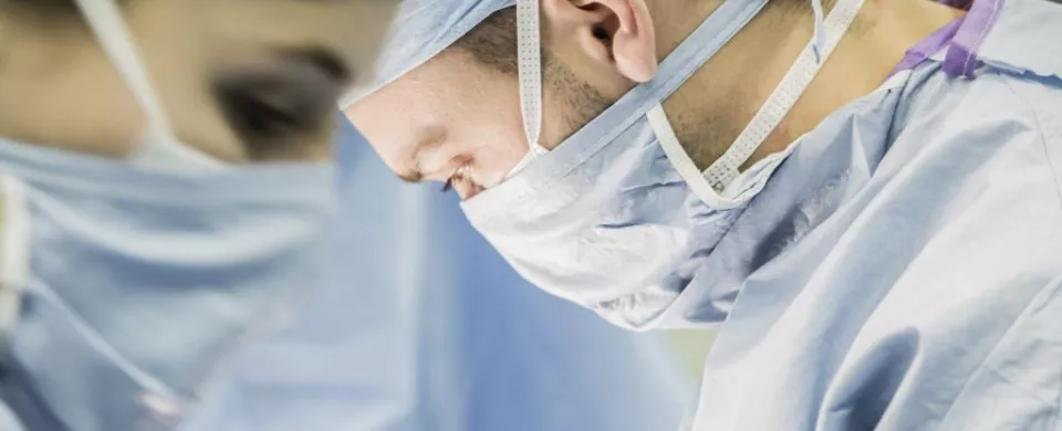 palmarès le point 2024